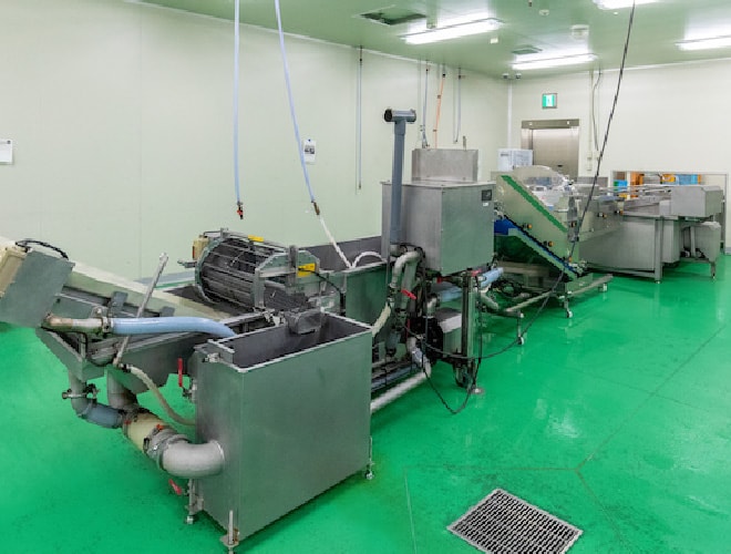 白菜・キャベツ角切自動化ライン