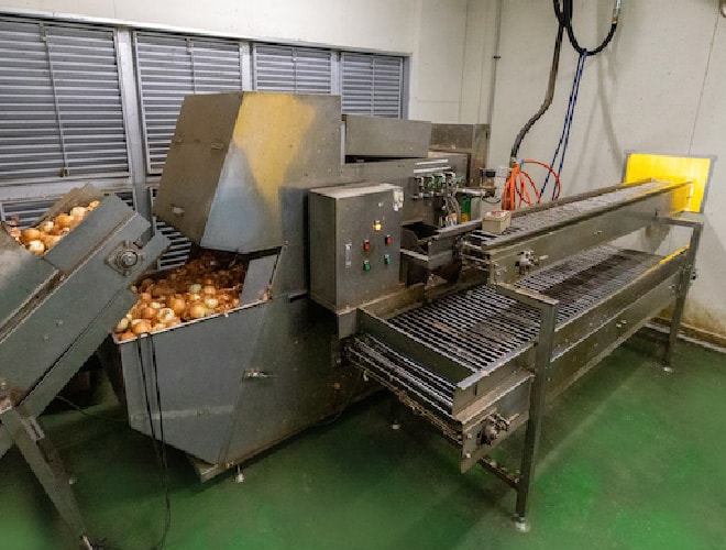 玉ねぎ皮むき自動化ライン