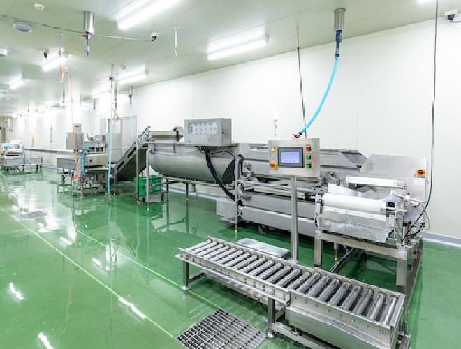 ごぼうカット自動化ライン