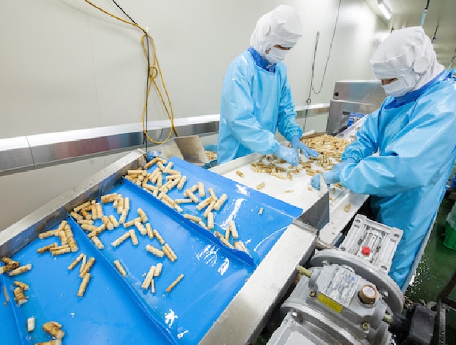 割りごぼう自動化ライン